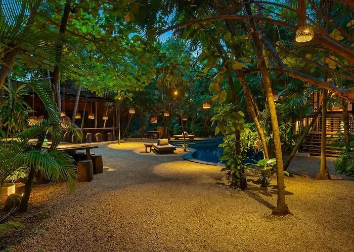 Tree House - Access -