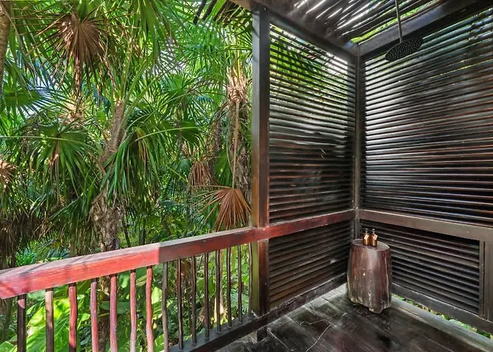 Tree House - Access - Tulum